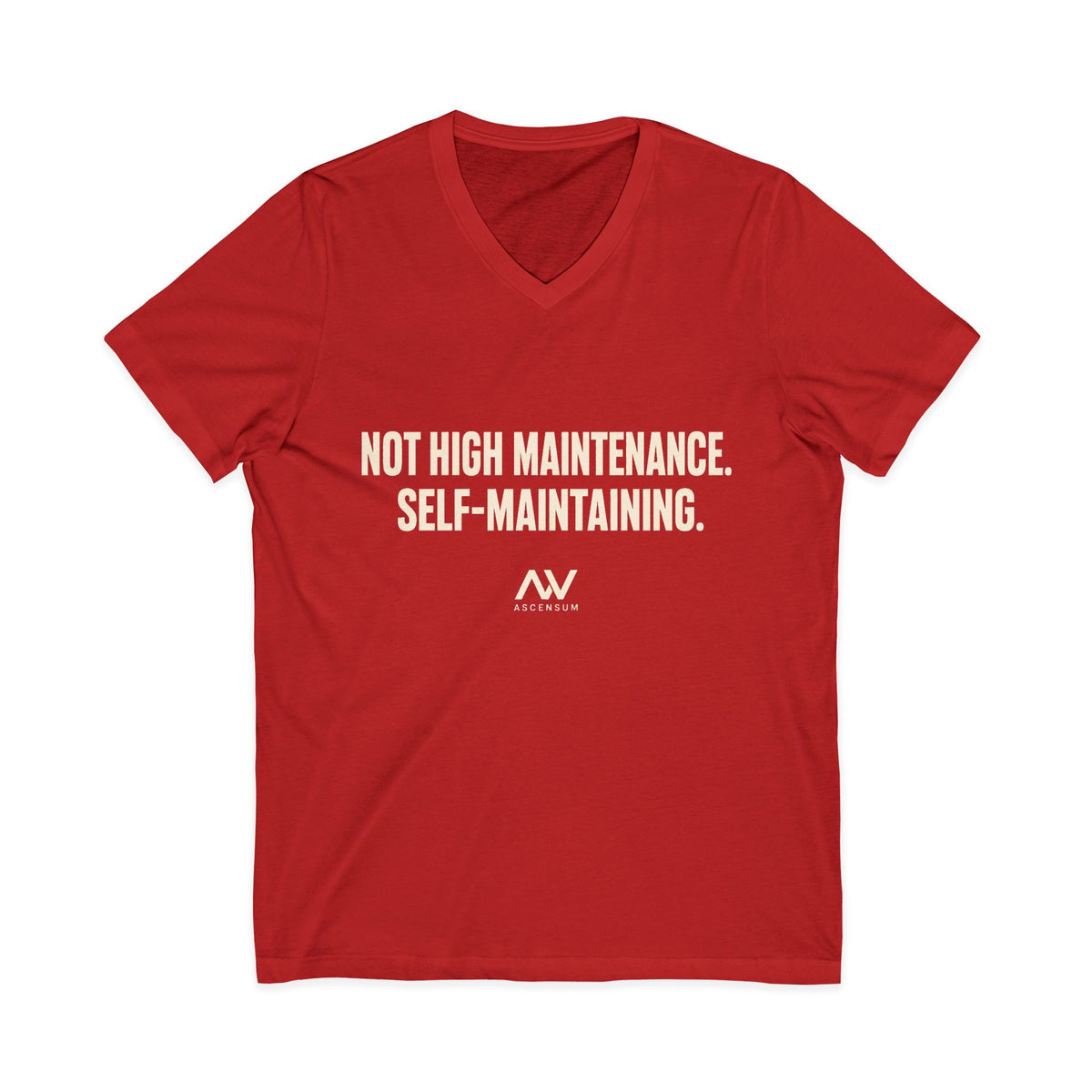 Not High Maintenance, Self-Maintaining | Women's Empowerment V-Neck Tee