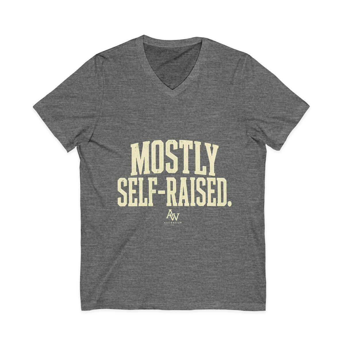 Mostly Self-Raised | Women's Empowerment V-Neck Tee
