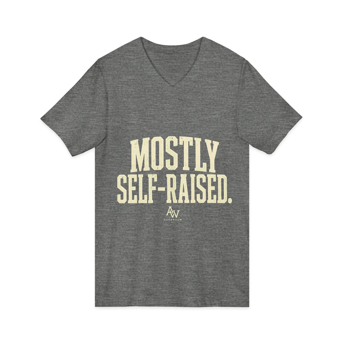 Mostly Self-Raised | Women's Empowerment V-Neck Tee