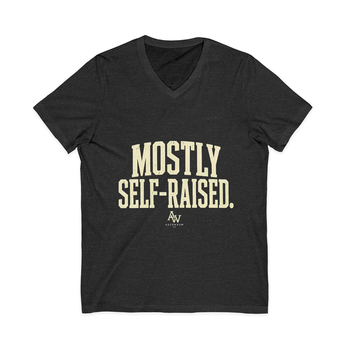 Mostly Self-Raised | Women's Empowerment V-Neck Tee