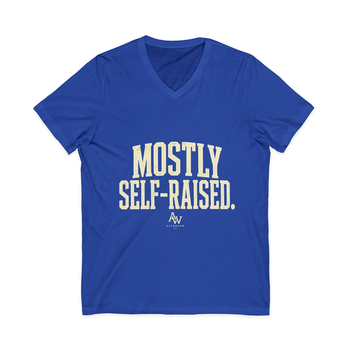 Mostly Self-Raised | Women's Empowerment V-Neck Tee