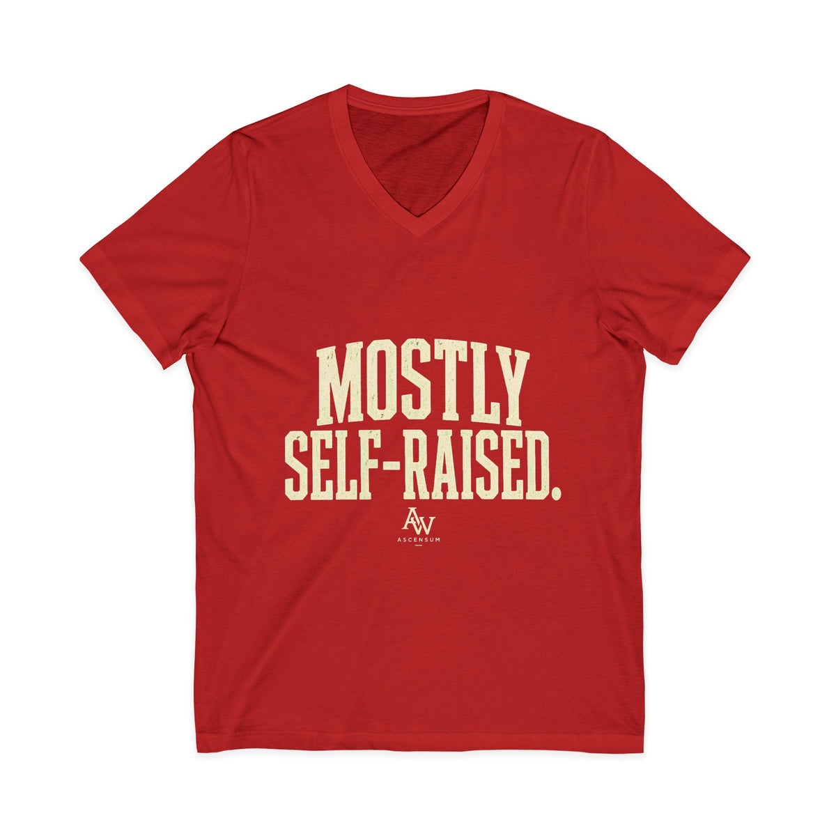 Mostly Self-Raised | Women's Empowerment V-Neck Tee