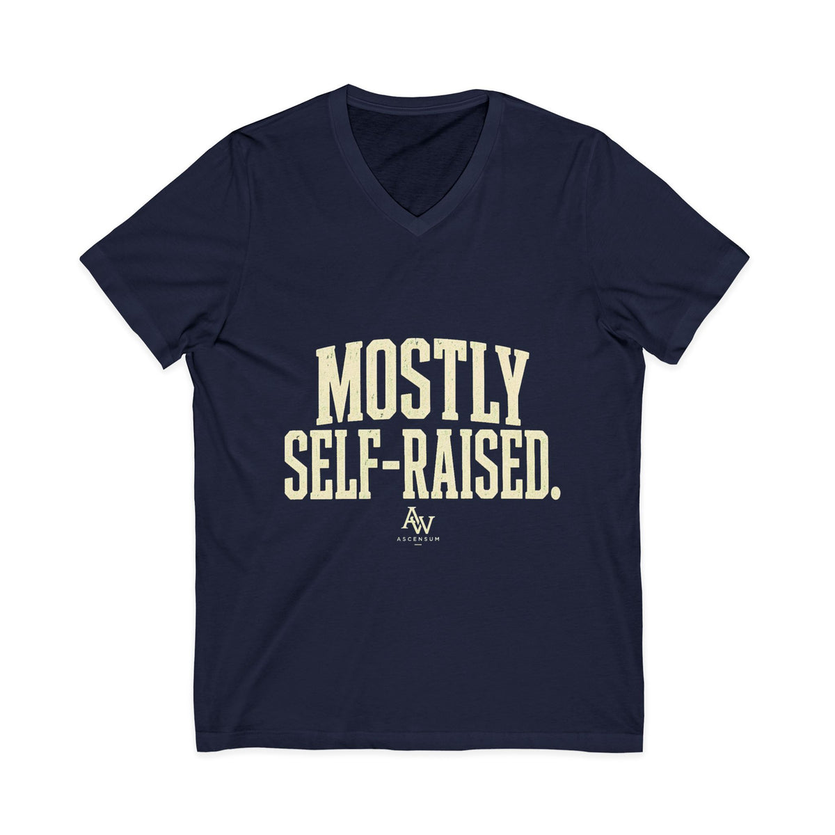 Mostly Self-Raised | Women's Empowerment V-Neck Tee