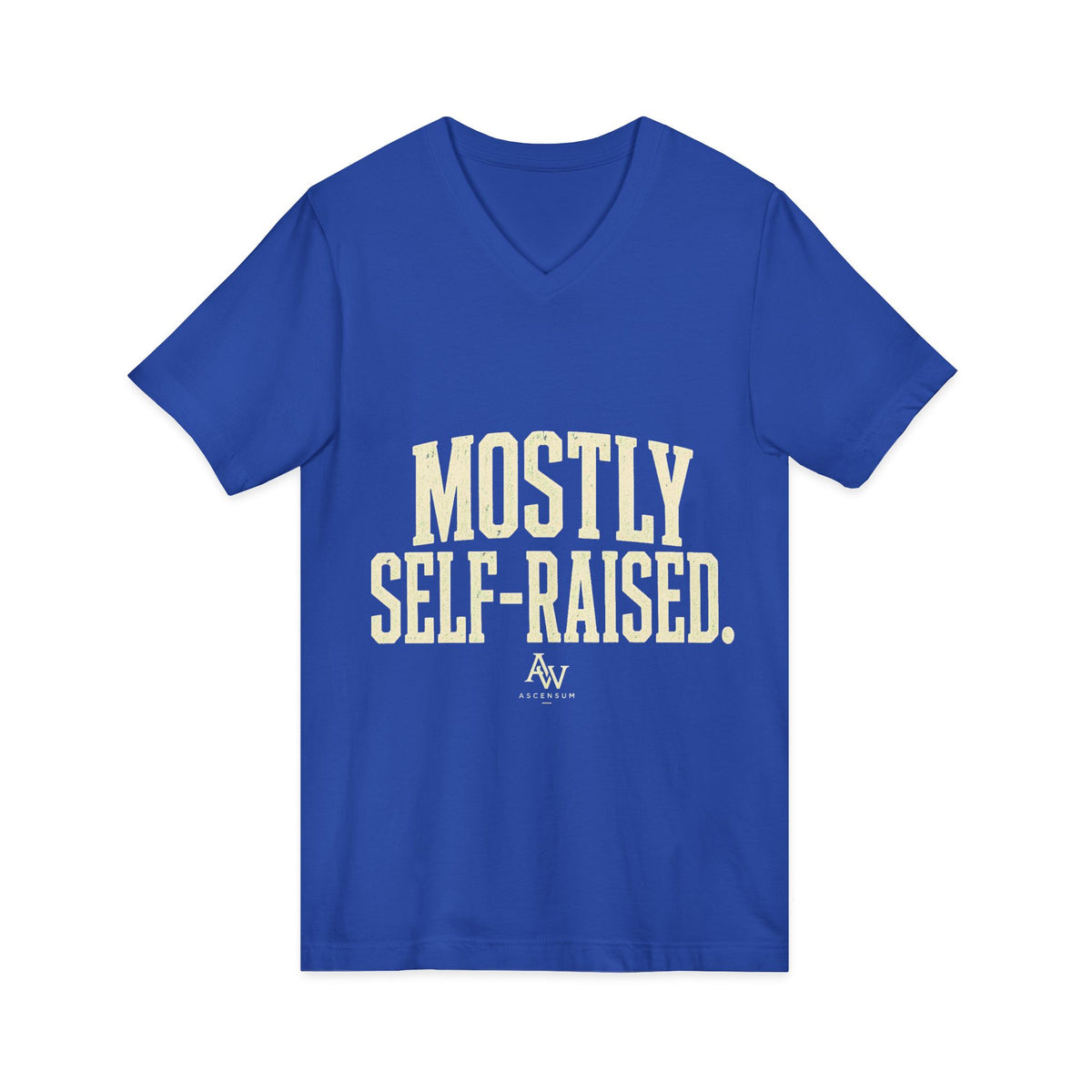 Mostly Self-Raised | Women's Empowerment V-Neck Tee