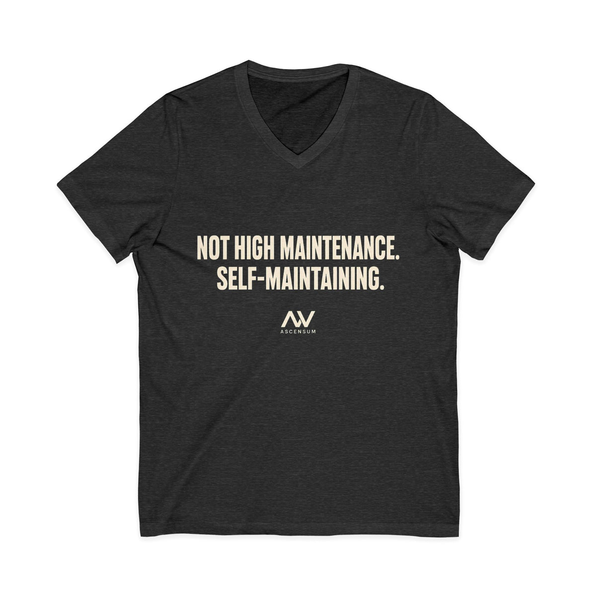 Not High Maintenance, Self-Maintaining | Women's Empowerment V-Neck Tee
