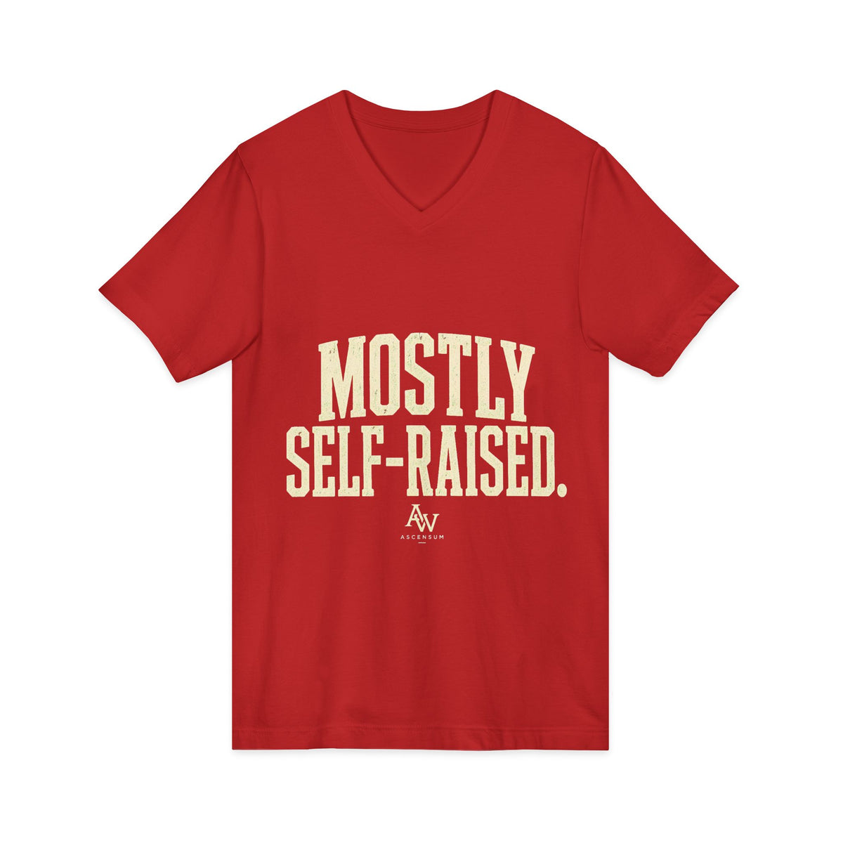 Mostly Self-Raised | Women's Empowerment V-Neck Tee