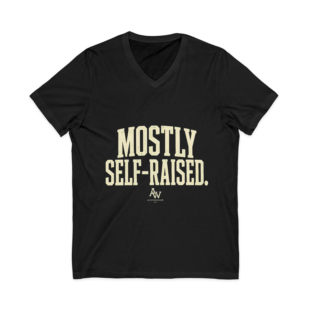 Mostly Self-Raised | Women's Empowerment V-Neck Tee