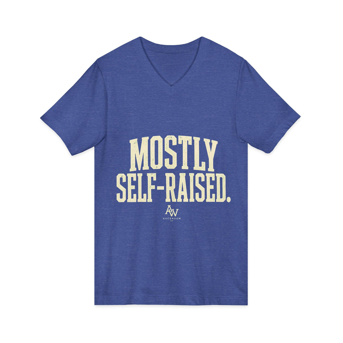 Mostly Self-Raised | Women's Empowerment V-Neck Tee