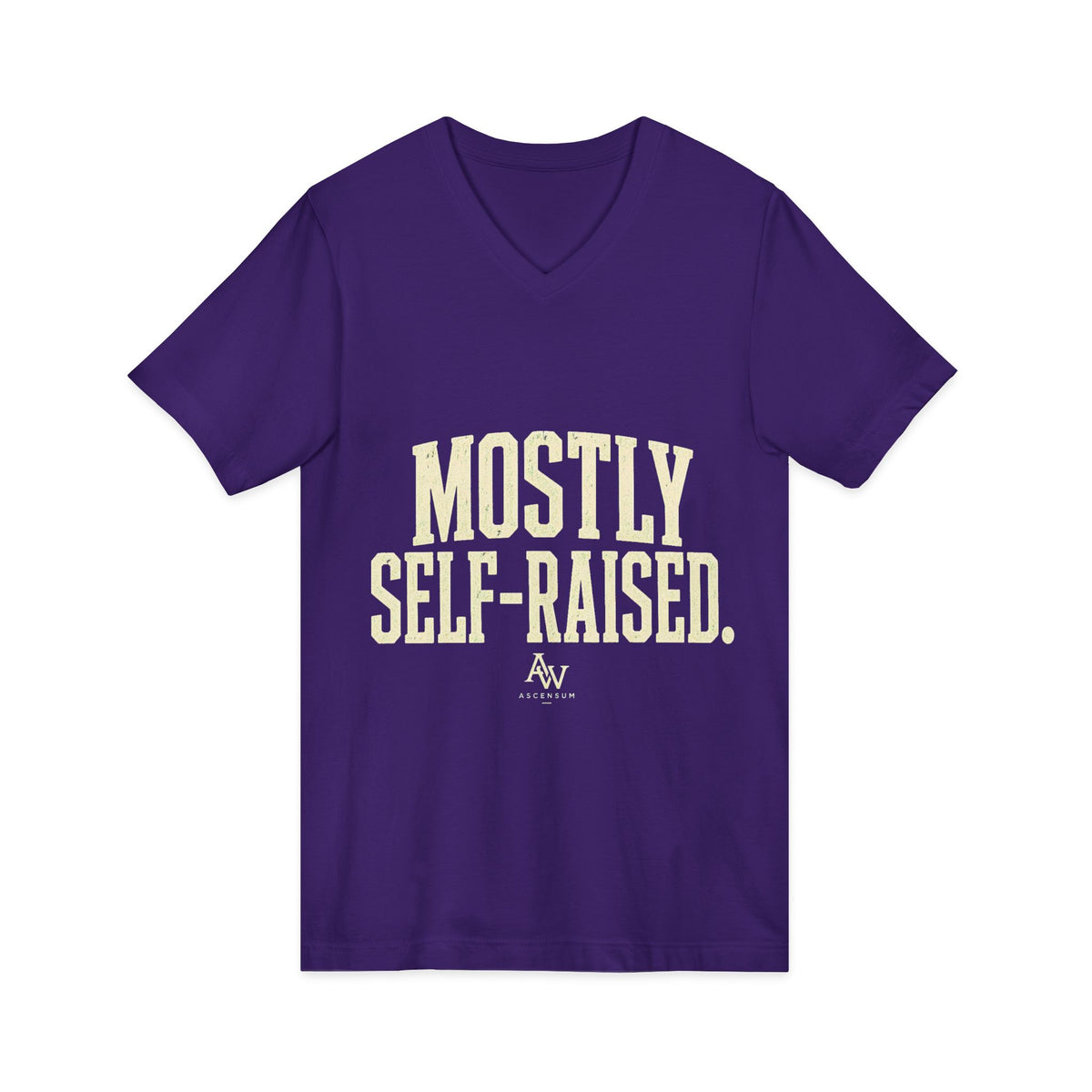 Mostly Self-Raised | Women's Empowerment V-Neck Tee