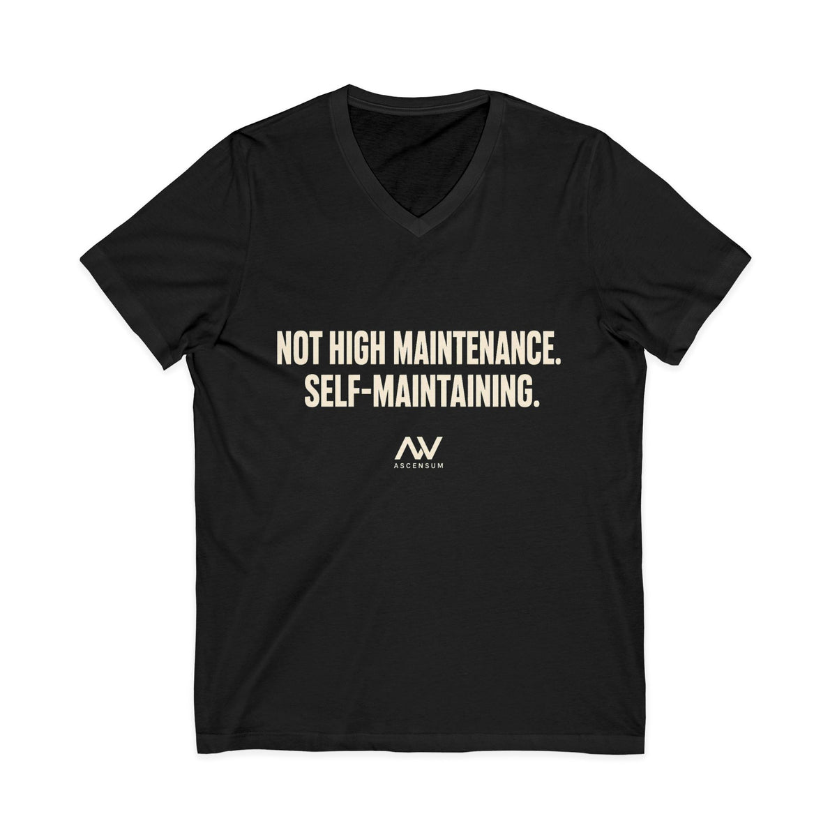Not High Maintenance, Self-Maintaining | Women's Empowerment V-Neck Tee