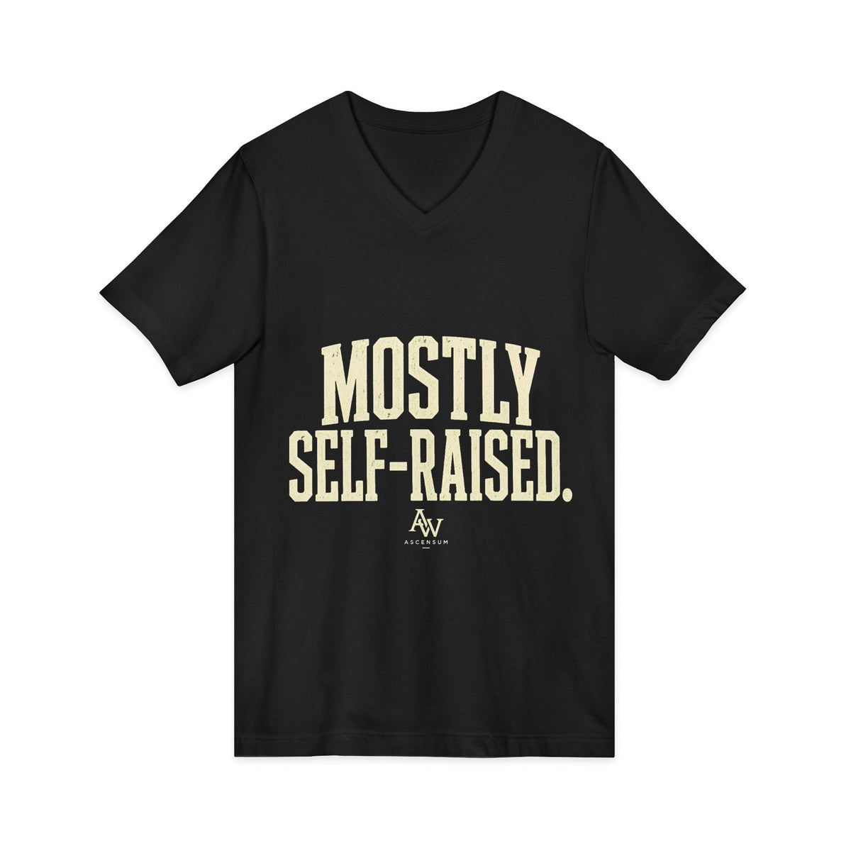 Mostly Self-Raised | Women's Empowerment V-Neck Tee